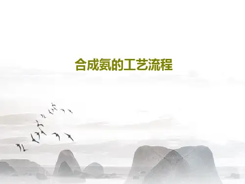 合成氨的工艺流程41页PPT