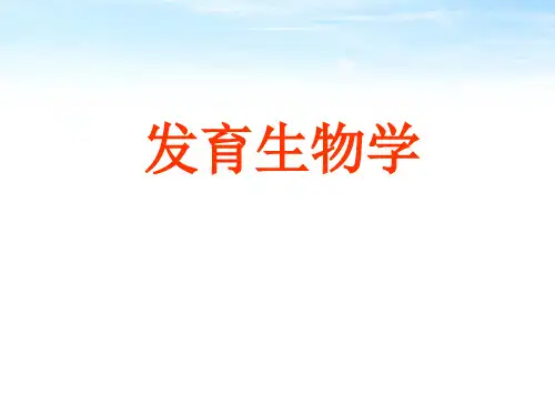 发育生物学课件