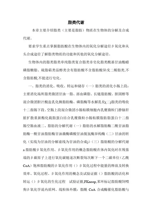 脂类代谢