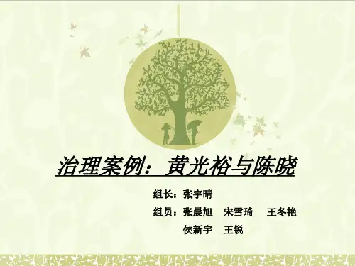 治理案例：黄光裕与陈晓