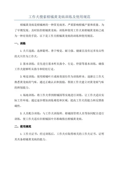 工作犬搜索柑橘黄龙病训练及使用规范