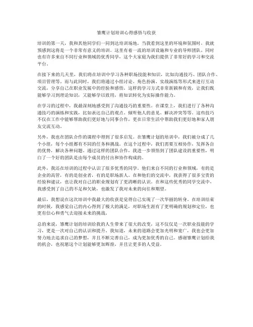 雏鹰计划培训心得感悟与收获