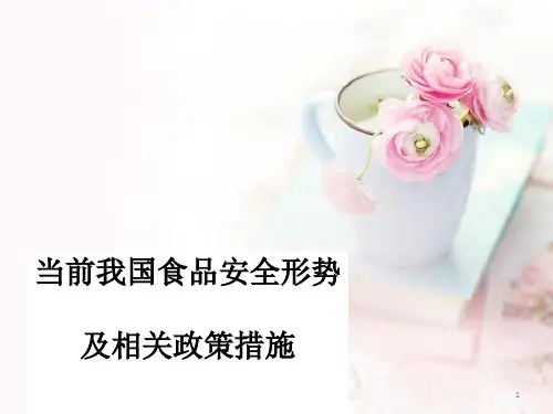 当前食品安全形势及相关政策措施