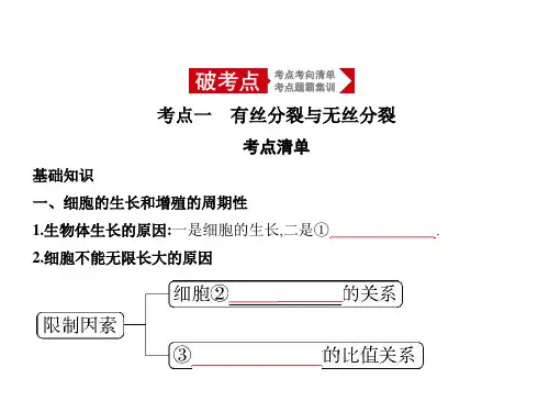 高中生物专题复习：细胞的增殖