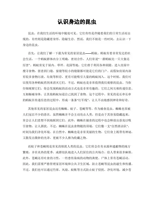 认识身边的昆虫