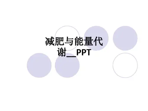 减肥与能量代谢ppt课件