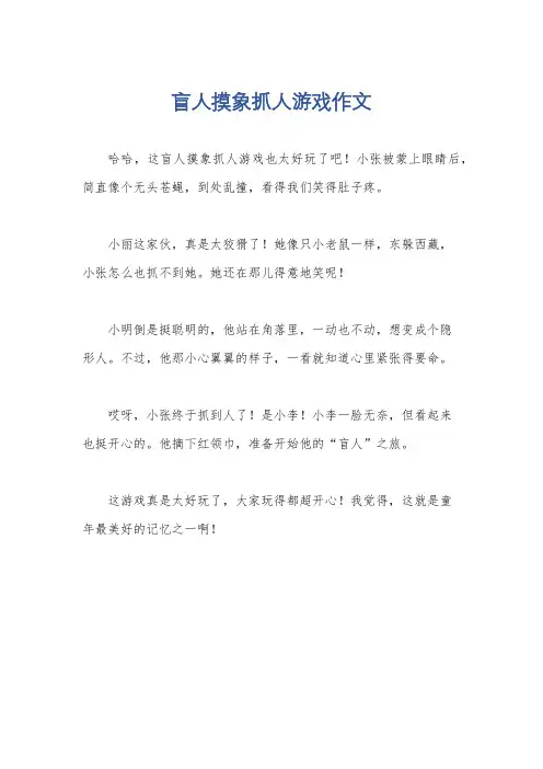 盲人摸象抓人游戏作文