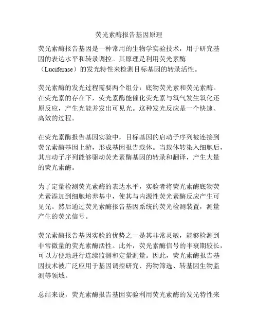荧光素酶报告基因原理
