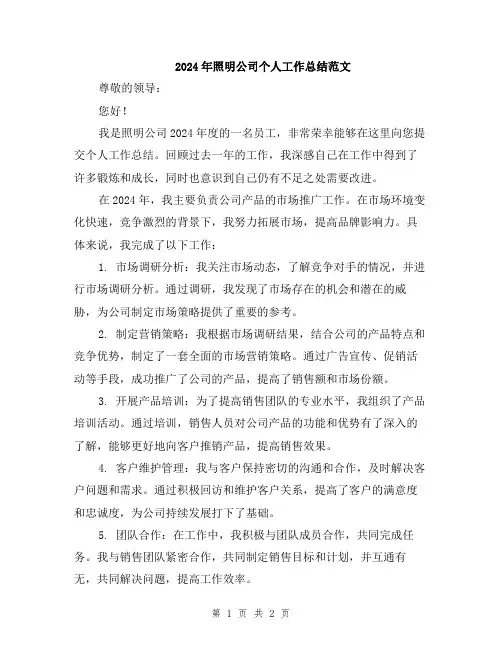 2024年照明公司个人工作总结范文