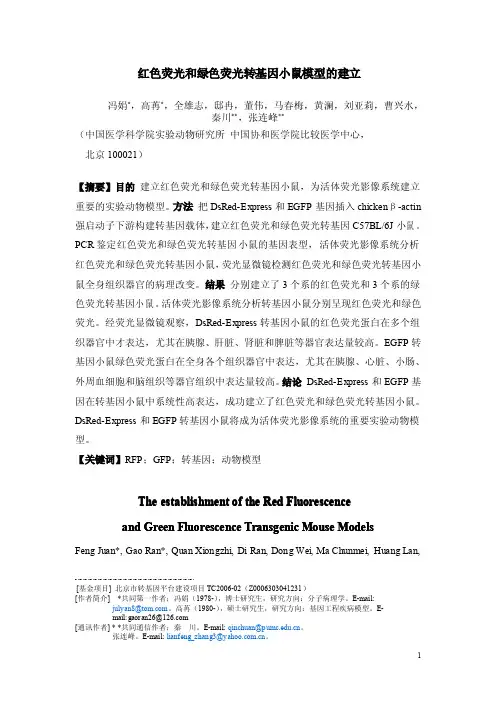 红色荧光和绿色荧光转基因小鼠模型的建立