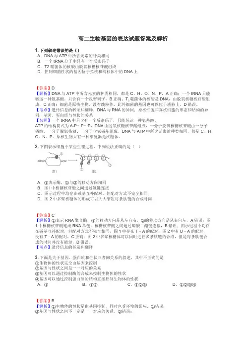 高二生物基因的表达试题答案及解析
