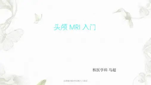 头颅磁共振MRI诊断入门知识ppt课件