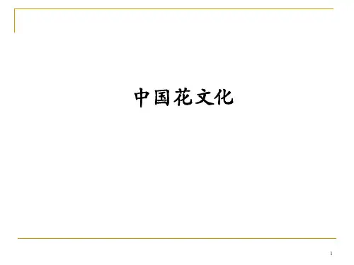 中国花文化及名花欣赏PPT课件