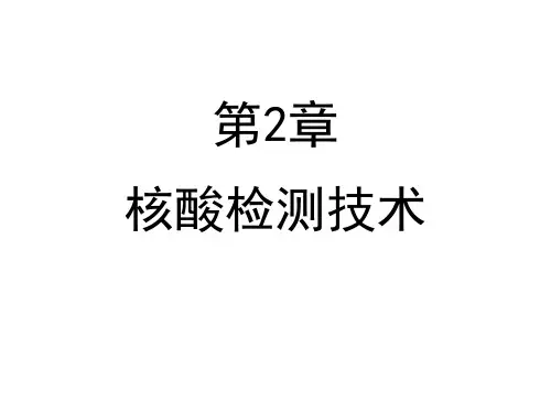 核酸检测技术讲解