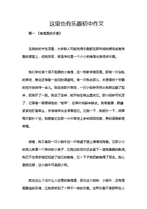 这里也有乐趣初中作文