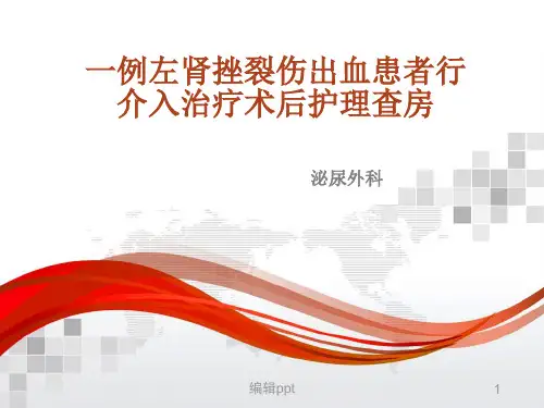 一例左肾挫裂伤出血患者行介入治疗术后护理查房