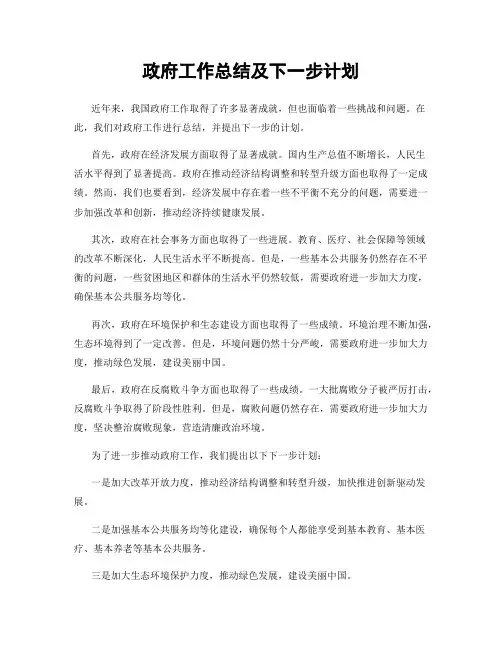 政府工作总结及下一步计划