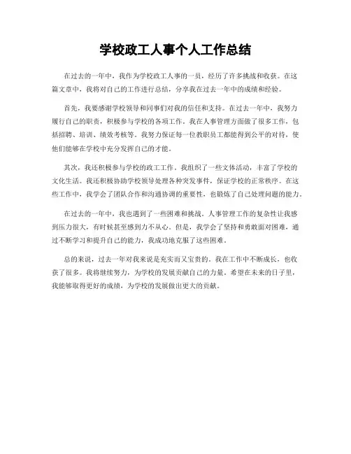 学校政工人事个人工作总结