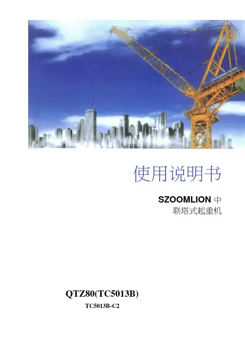 中联重科塔吊5013B说明书C2