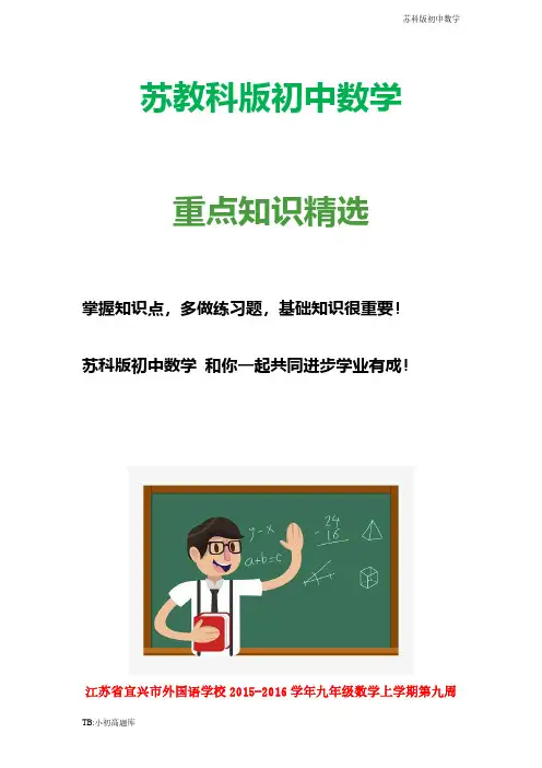 苏教科版初中数学九年级上册上学期第九周周末作业 