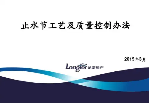 止水节工艺及质量控制办法