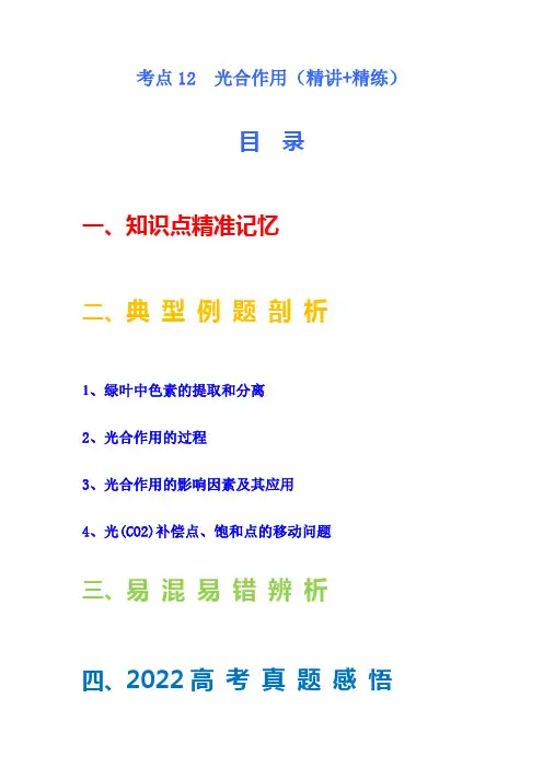 考点12 光合作用(核心考点讲与练)-2023年高考生物一轮复习讲练测(全国通用)(解析版)