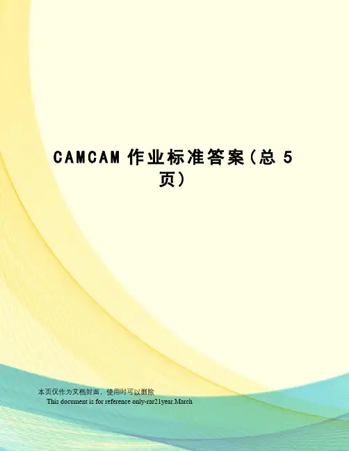 CAMCAM作业标准答案