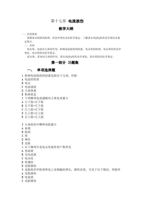 第十七章 电流损伤