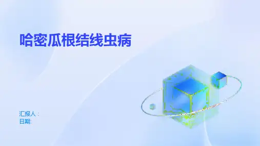 哈密瓜根结线虫病