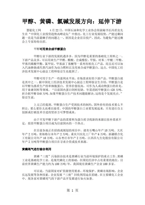 甲醇、黄磷、氯碱发展方向：延伸下游精品文档16页