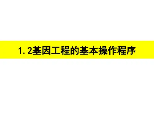 基因工程程序