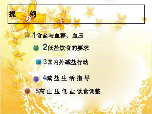 盐与健康ppt课件