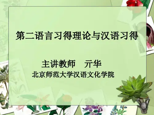 第三讲 偏误分析