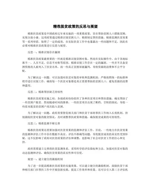 精准脱贫政策的反思与展望