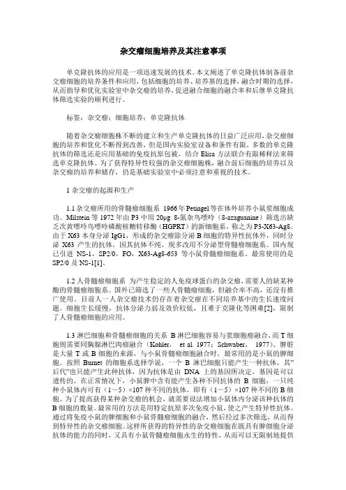 杂交瘤细胞培养及其注意事项