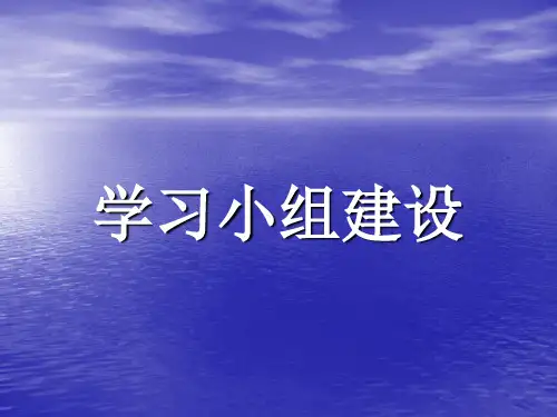 学习小组建设-PPT课件