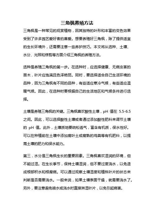 三角枫养殖方法