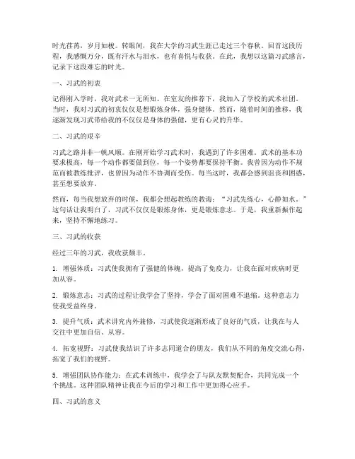 大学生习武感言