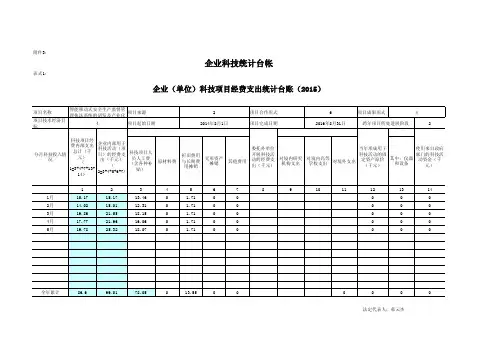2015研发费用台账
