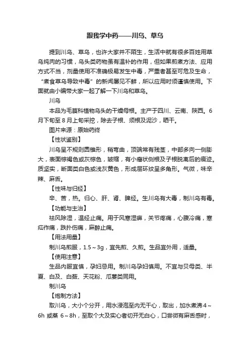 跟我学中药——川乌、草乌