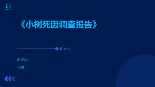 《小树死因调查报告》