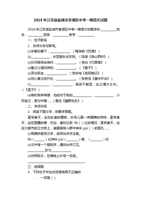 2019年江苏省盐城市亭湖区中考一模语文试题