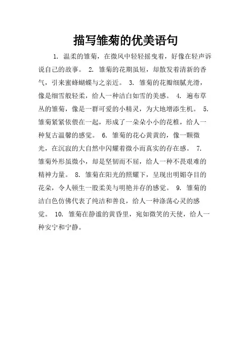 描写雏菊的优美语句