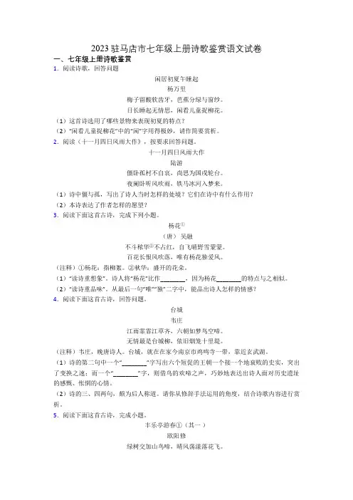 2023驻马店市七年级上册诗歌鉴赏语文试卷