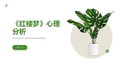 《红楼梦》心理分析