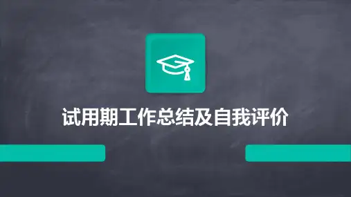 试用期工作总结及自我评价PPT