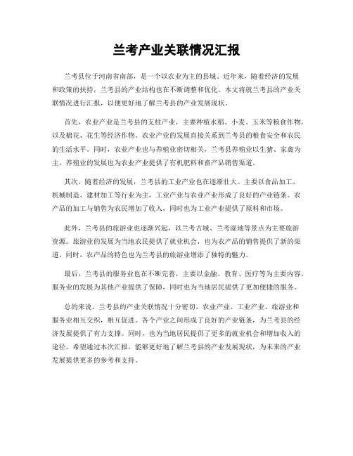 兰考产业关联情况汇报