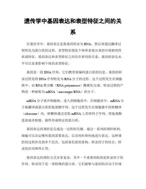 遗传学中基因表达和表型特征之间的关系