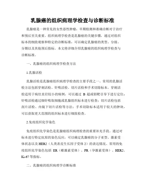 乳腺癌的组织病理学检查与诊断标准