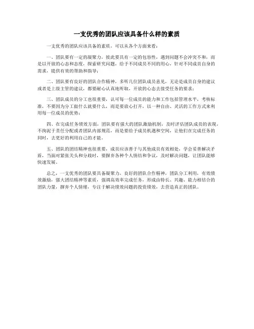 一支优秀的团队应该具备什么样的素质